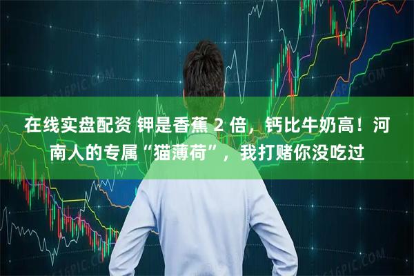 在线实盘配资 钾是香蕉 2 倍，钙比牛奶高！河南人的专属“猫薄荷”，我打赌你没吃过