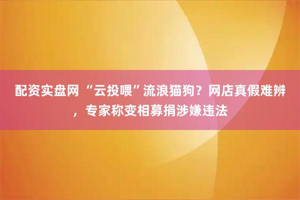 配资实盘网 “云投喂”流浪猫狗？网店真假难辨，专家称变相募捐涉嫌违法