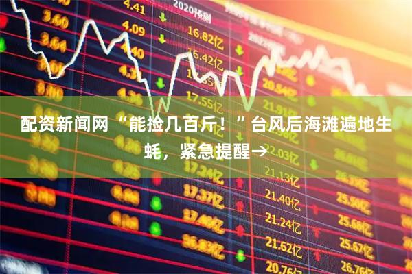 配资新闻网 “能捡几百斤！”台风后海滩遍地生蚝，紧急提醒→